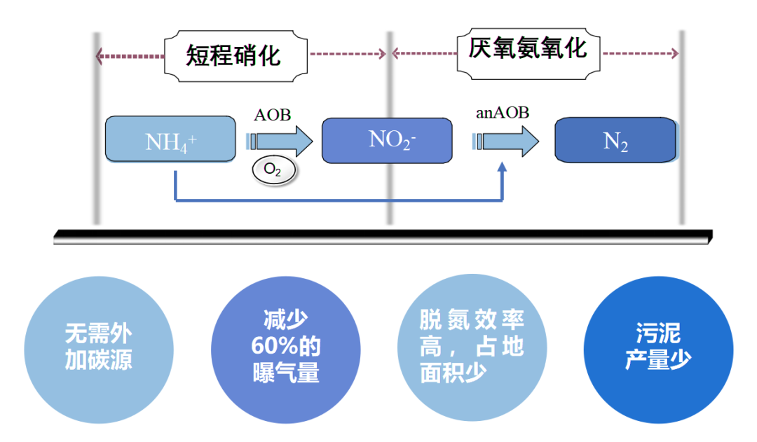 世界杯赛程·2026美加墨中国区现场直播