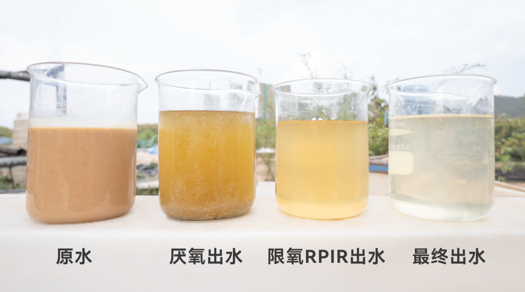 世界杯赛程·2026美加墨中国区现场直播