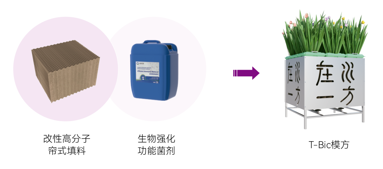 世界杯赛程·2026美加墨中国区现场直播